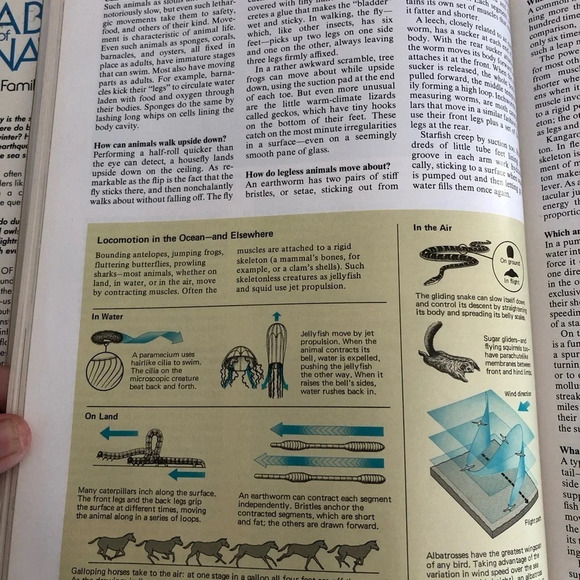 Readers Digest the ABC’s of Nature - Picture 5 of 7